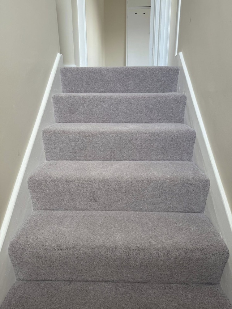 Carpet Refresh Bundle